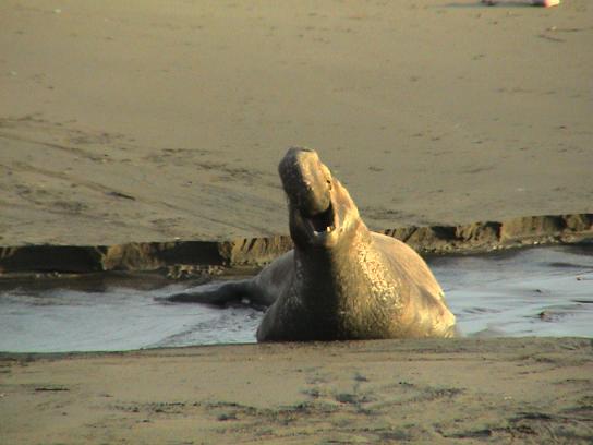 21.2. Pismo Beach bis Carlsbad